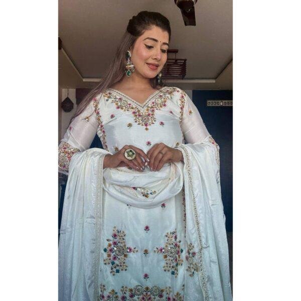Pure Cinon Silk With Heavy Embroidery - Image 3