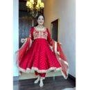 Chinon Silk With Embroidery 5 mm