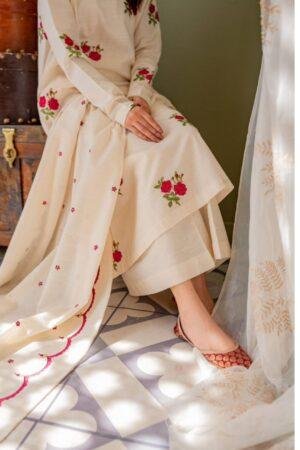 New printed suit with state plazo set