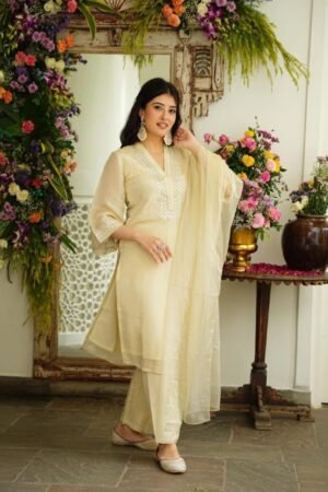 Elegant Off-White Chanderi Suit