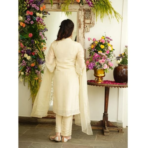Elegant Off-White Chanderi Suit - Image 4